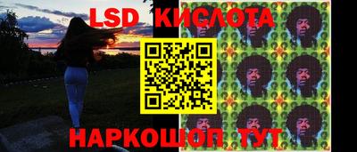 PSILOCYBIN Вязьма