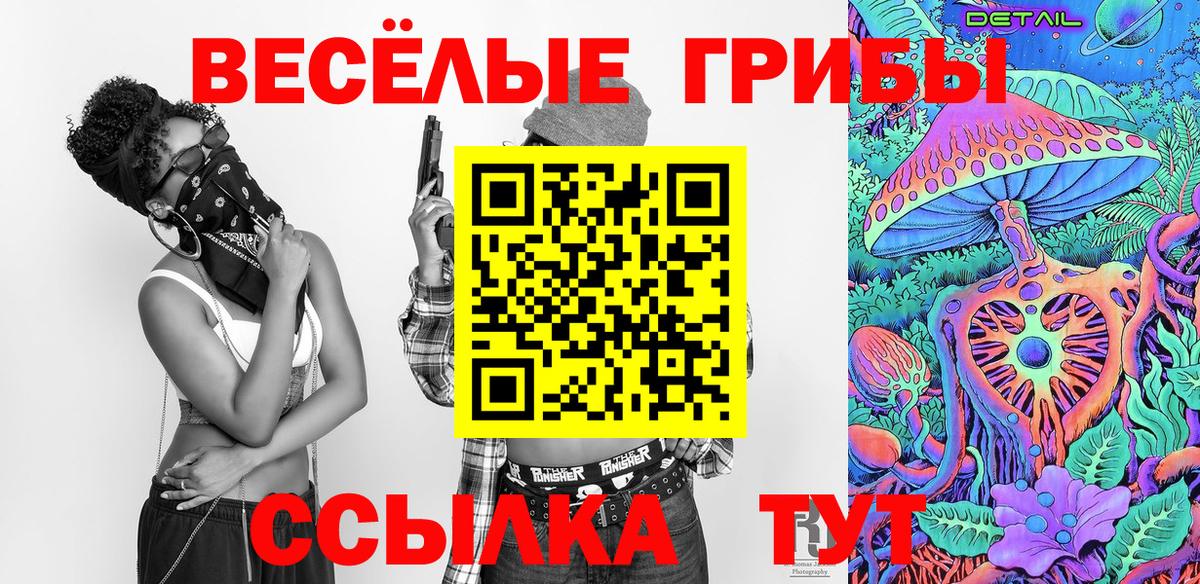 Волгоград  Псилоцибиновые грибы MAGIC MUSHROOMS  Вход с VPN 
